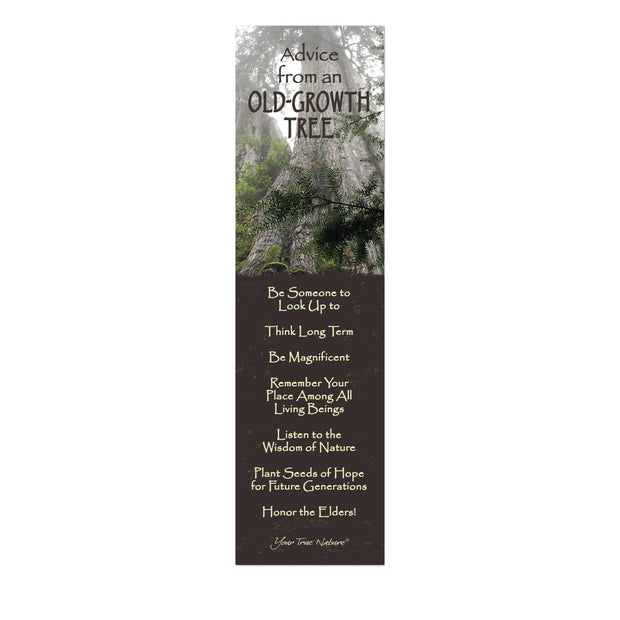 Advice from an Old Growth Tree Laminated Bookmark