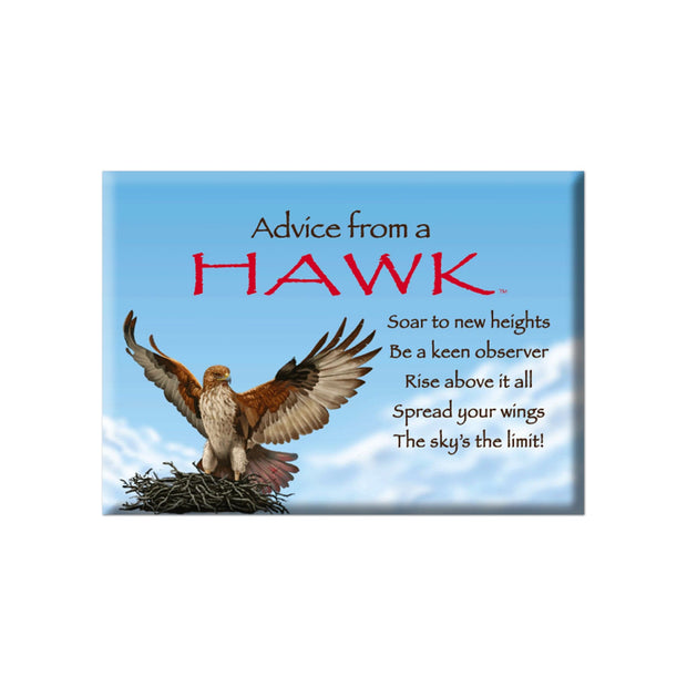 Advice from a Hawk Jumbo Magnet
