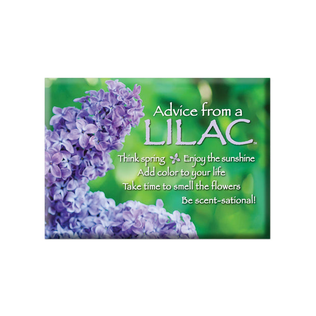 Advice from a Lilac Jumbo Magnet