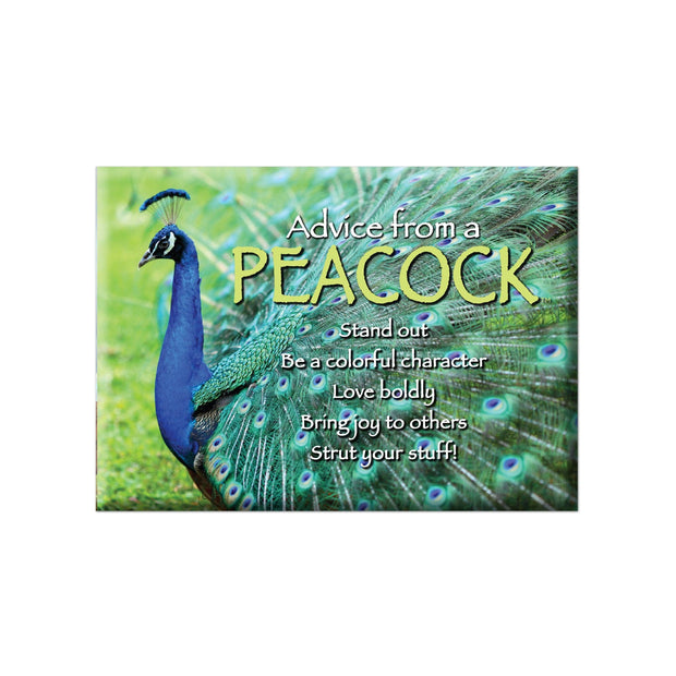 Advice from a Peacock Jumbo Magnet