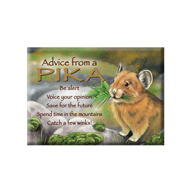 Advice from a Pika Jumbo Magnet – Advice For Life
