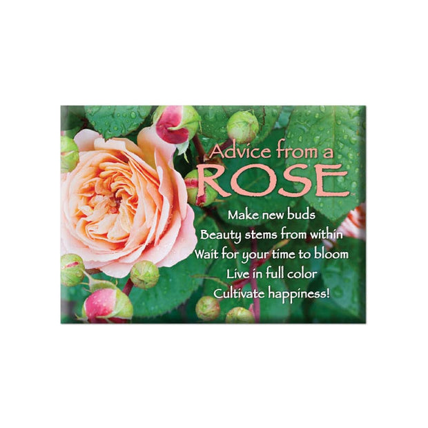 Advice from a Rose Jumbo Magnet