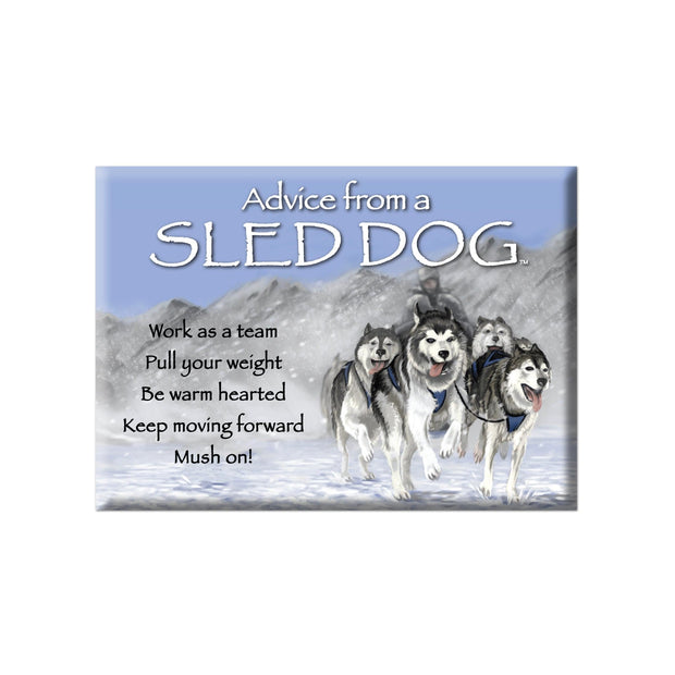 Advice from a Sled Dog Jumbo Magnet