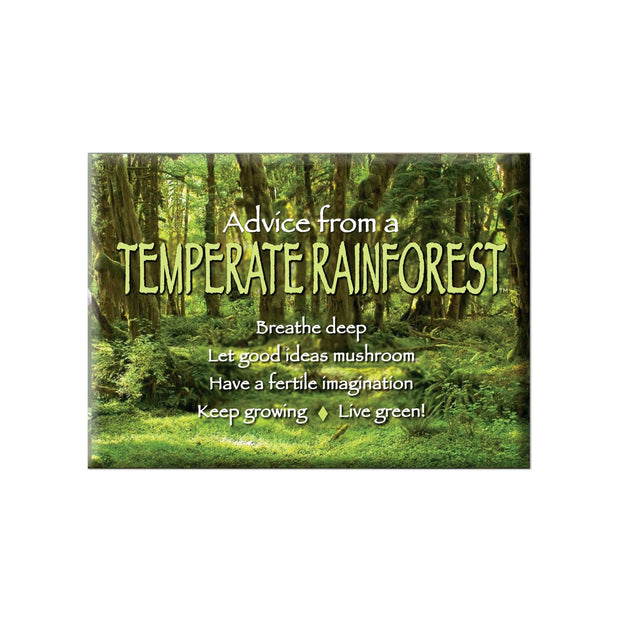 Advice from a Temperate Rainforest Magnet