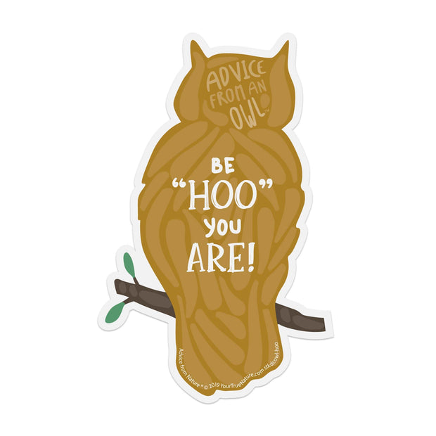 Advice from a Owl Sticker
