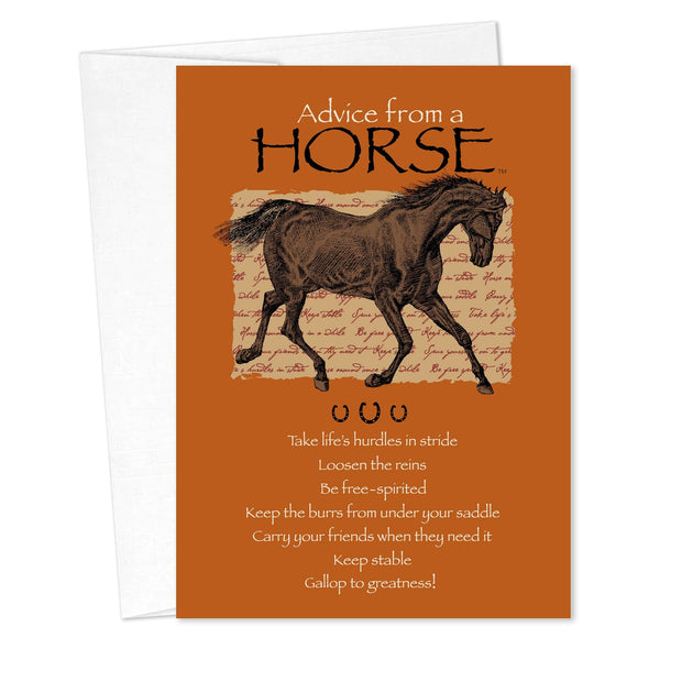 Advice from a Horse Birthday Card