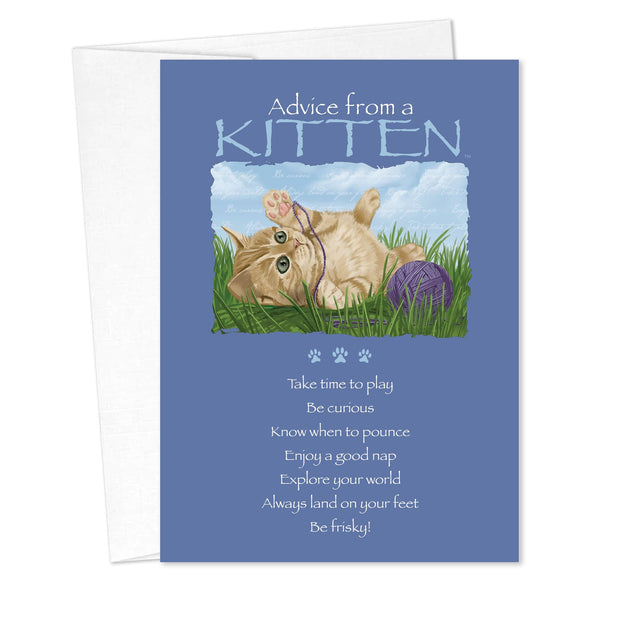 Advice from a Kitten Friendship Card