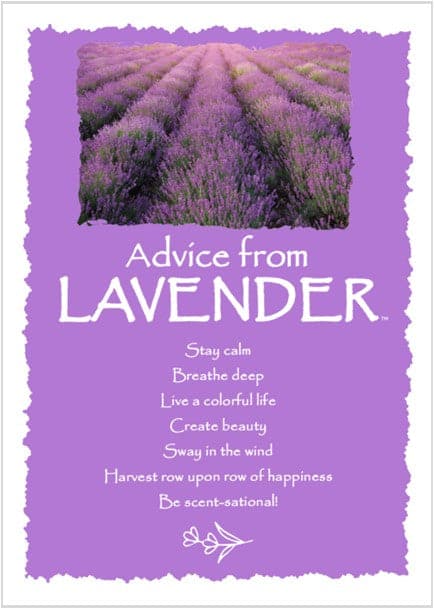 Advice from Lavender Greeting Card