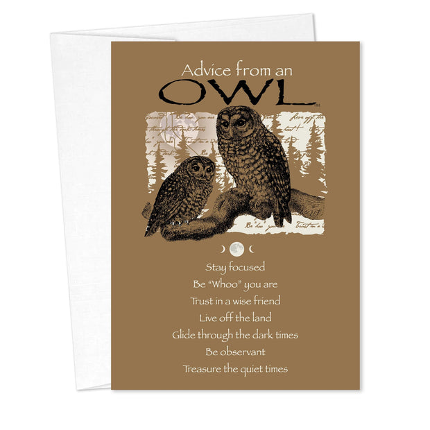 Advice from an Owl Birthday Card