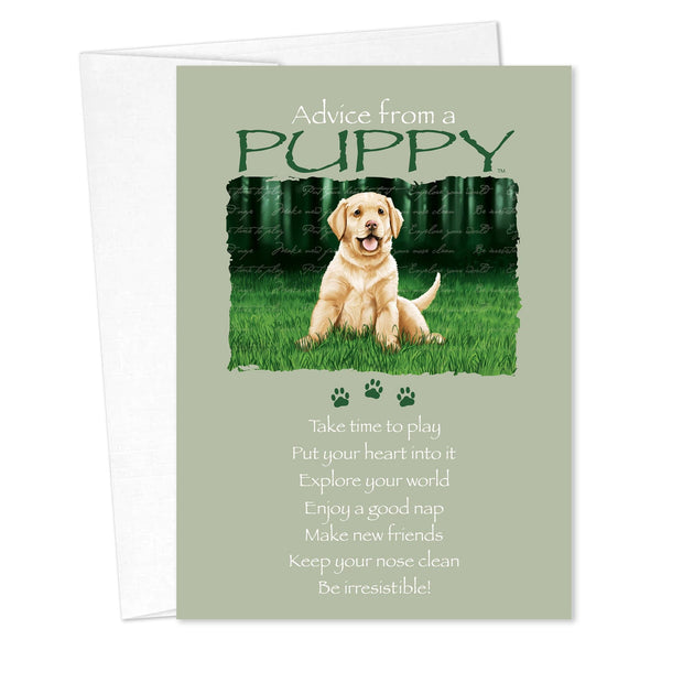 Advice from a Puppy Friendship Card