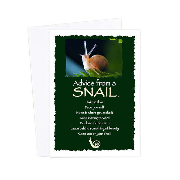 Advice from a Snail Greeting Card