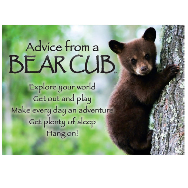 Advice from a Bear Cub Magnet