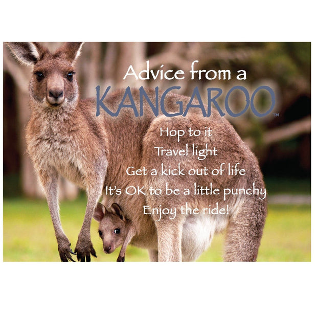 Advice from a Kangaroo Magnet