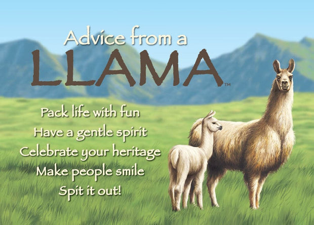 Advice from a Llama Jumbo Magnet