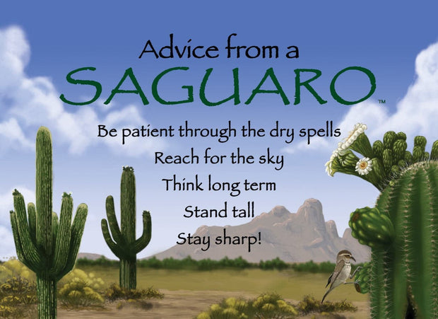 Advice from a Saguaro Jumbo Magnet