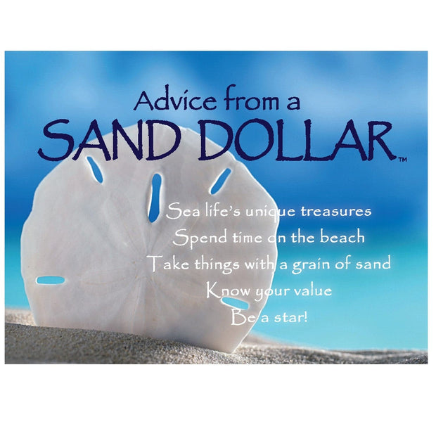 Advice from a Sand Dollar Magnet