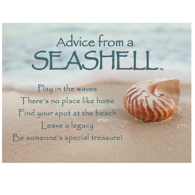 Advice from a Seashell Magnet