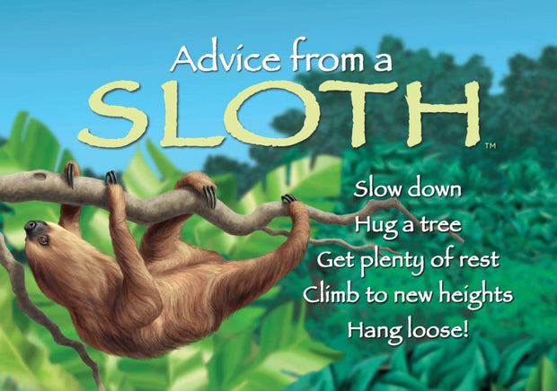 Advice from a Sloth Jumbo Magnet