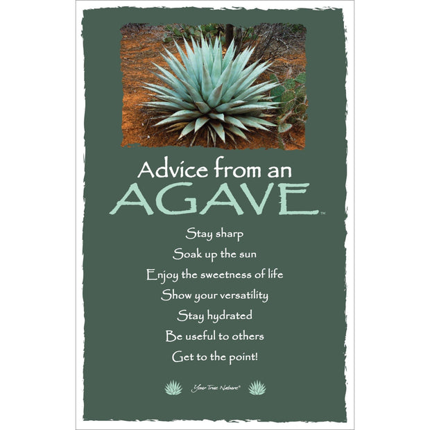 Advice from an Agave - Frameable Art Card