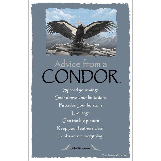 Advice from a Condor Frameable Art Card