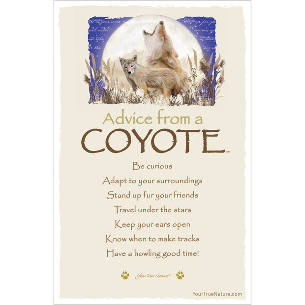 Advice from a Coyote Frameable Art Card