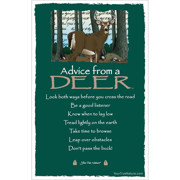 Advice from a Deer Frameable Art Card