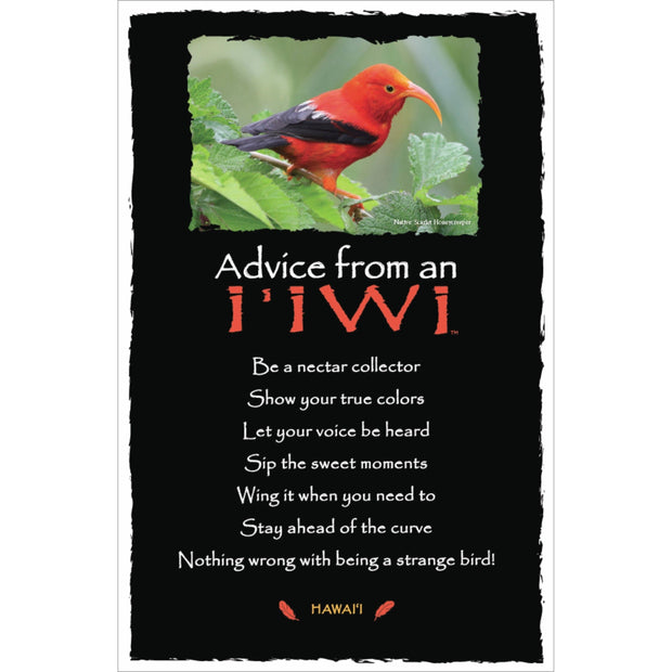 Advice from an I'iwi- Hawai'i- Frameable Art Card