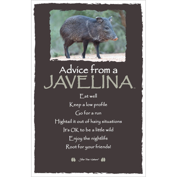 Advice from a Javelina - Frameable Art Card