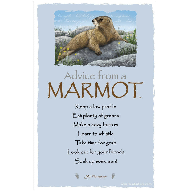 Advice from a Marmot Frameable Art Card