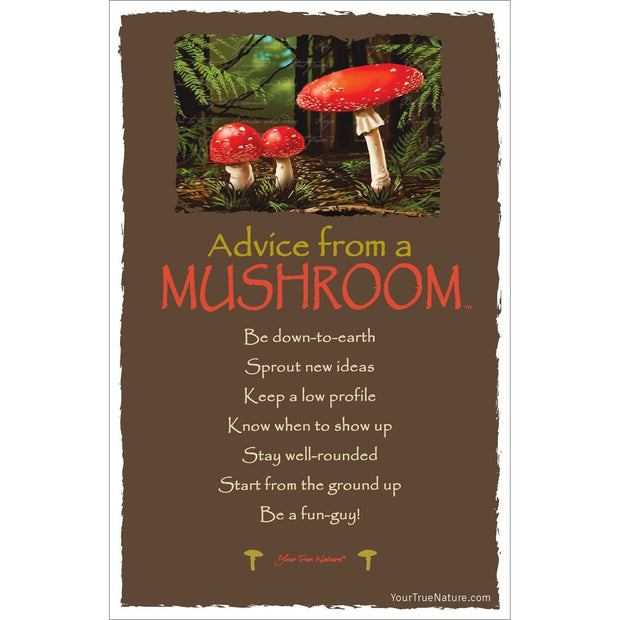 Advice from a Mushroom Frameable Art Card