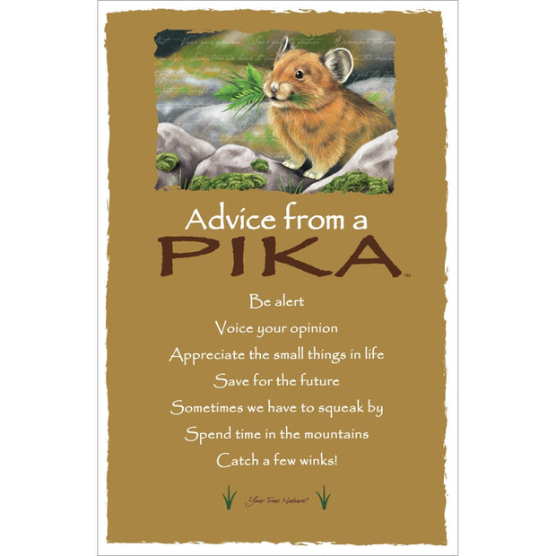 Advice from a Pika Frameable Art Card