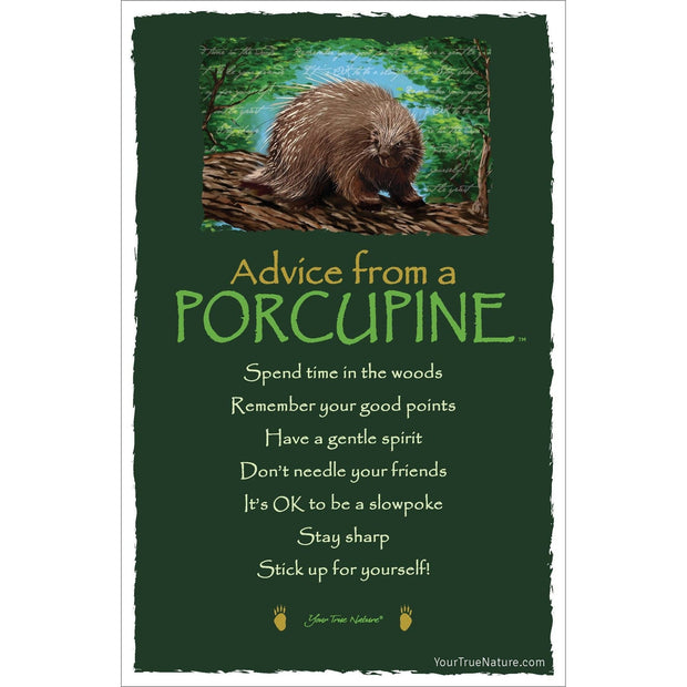 Advice from a Porcupine Frameable Art Card