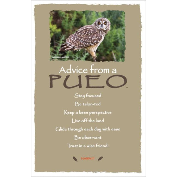 Advice from a Pueo- Hawai'i- Frameable Art Card