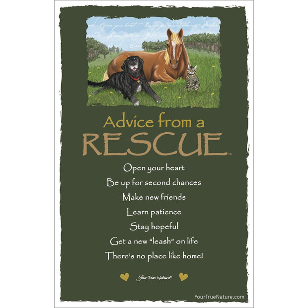 Advice from a Rescue Frameable Art Card
