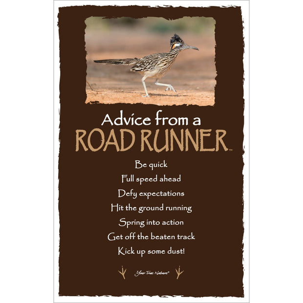 Advice from a Roadrunner- Frameable Art Card