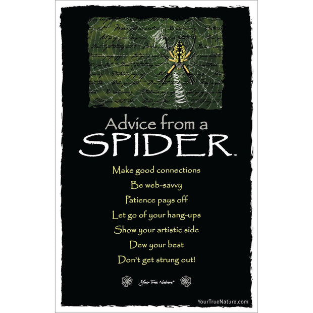 Advice from a Spider Frameable Art Card
