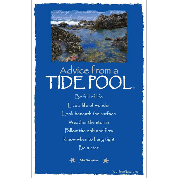 Advice from a Tide Pool Frameable Art Card