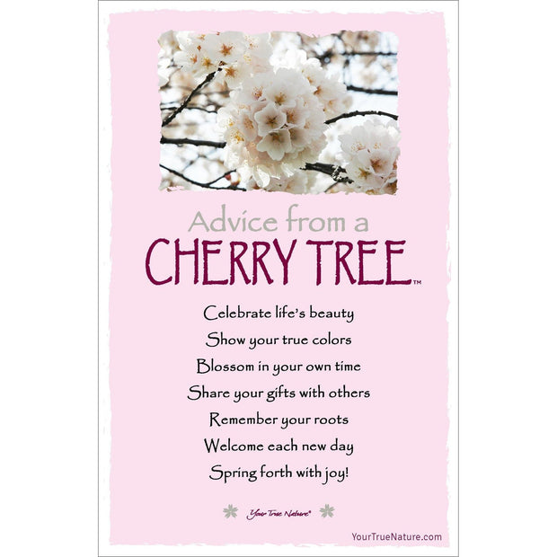 Advice from a Cherry Tree Frameable Art Card