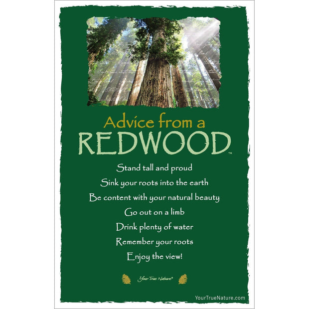 Advice from a Redwood Frameable Art Card