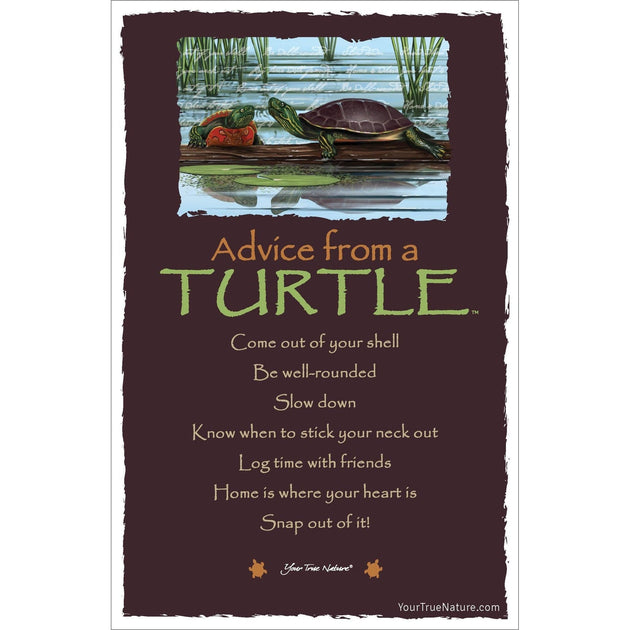 Advice from a Turtle Frameable Art Card – Advice For Life
