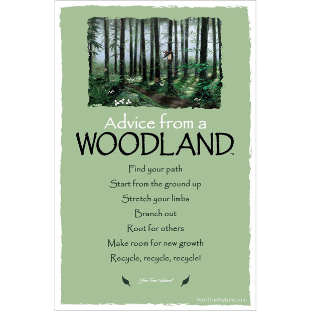Advice from a Woodland Frameable Art Card