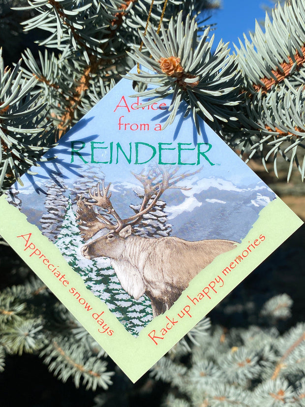 Advice from a Reindeer Ornament Christmas Card
